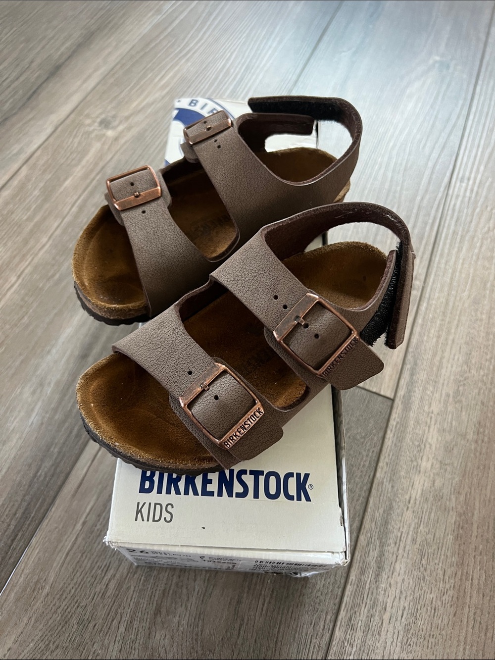 Birkenstock Kids Brown Double Strap Sandals with Buckles